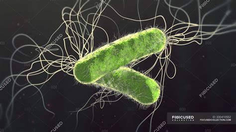 Antibiotic Resistant Pseudomonas Aeruginosa Bacteria Digital 3d
