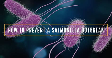 Salmonella infection (salmonellosis) is a common bacterial disease that affects the intestinal tract. Salmonella- The Most Common Bacterial Foodborne Disease - Safe Food Alliance