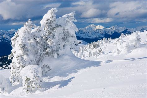 Manning Provincial Park Winter British Columbia Alan Majchrowicz