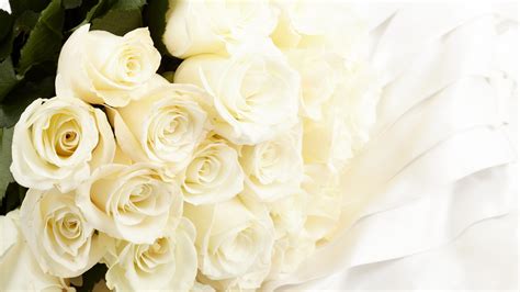 Pure White Roses Roses Photo 34611005 Fanpop