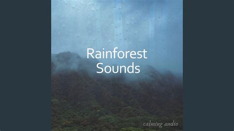 Rainforest Sounds Pt 06 Youtube