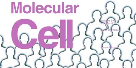 Cell Press Molecular Cell