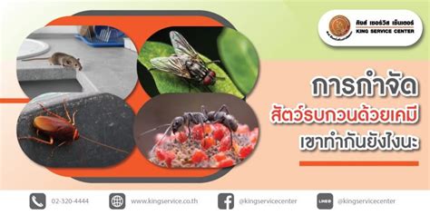 Ipm takes advantage of all appropriate pest management options including, but not limited to, the judicious use of biological, physical/mechanical. c1d41dff5f5487f7e574c8a96a904a2a2_48501165_191130_0013 ...