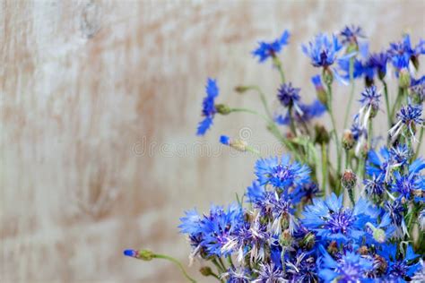 Blue Flowers Of Cornflowers On A Wooden Light Background High