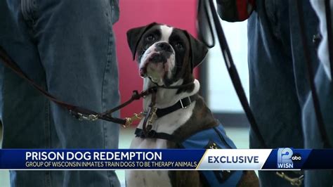 Wisconsin inmates earning redemption through prison dog training