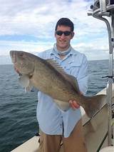 Fishing Charters In Fort Myers Florida Pictures