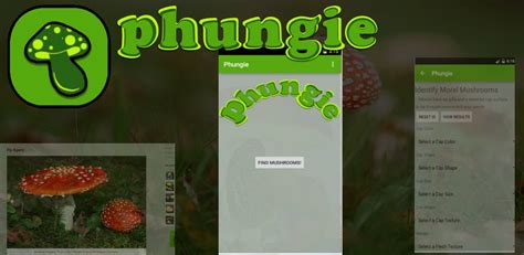 Phungie - Posts | Facebook