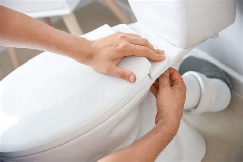 25 Toilet Types And Options For Your Bathroom Extensive Buying Guide