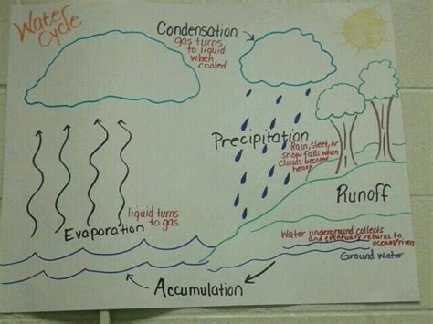 Anchor Chart Water Cycle
