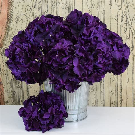 Gloria Heptinstall Blog Deep Purple Flowers Names Pelleted Petunia