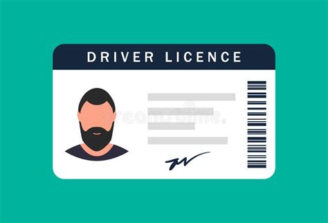 Male Driver`s License Identity Card Personal Data Vector