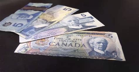 Canadians To Select A New Face For The Five Dollar Bill Ctv News
