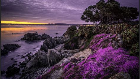 Pacific Grove In 2020 Pacific Grove Natural Landmarks Sunrise