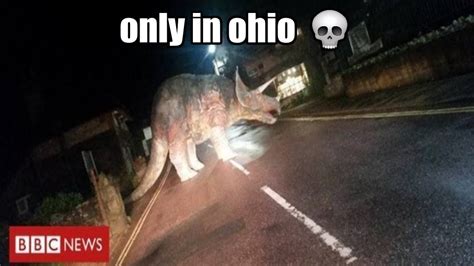 Only In Ohio Meme Idlememe
