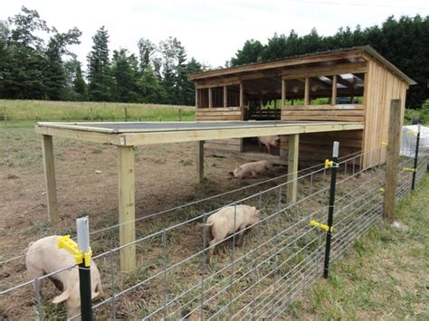 Hog Shelter Pig Farming Pig Pen Pig Shelter