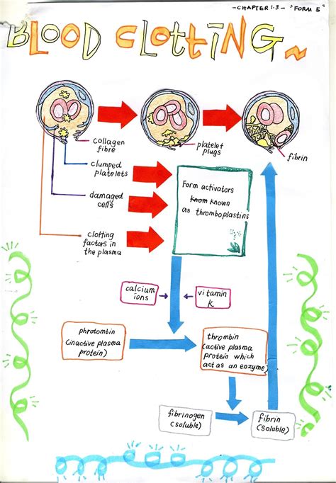 Bab ini menerangkan tentang topik tekanan yang merangkumi 1. Bijak Tekun: Nota Kreatif Biologi Tingkatan 5 : Bab 1