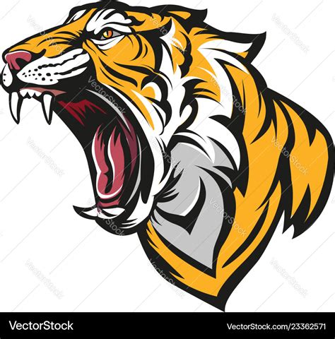 Angry Tiger Royalty Free Vector Image Vectorstock