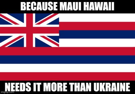 Image Tagged In Hawaiian Flag Imgflip
