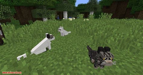 Simply Cats Mod 1165 1122 Adds A Ton Of Different Colored Cats Mc Modnet
