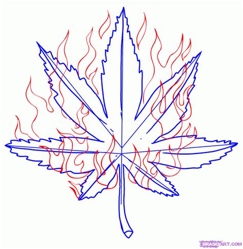 Pot Leaf Drawing Step By Step How To Draw A Pot Leaf Step By Step
