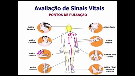 Como Aferir Sinais Vitais Pulso Youtube