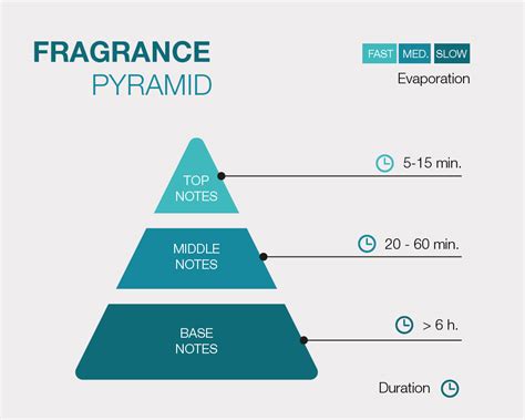 Fragrance 101 Understanding The Fragrance Pyramid 51 Off