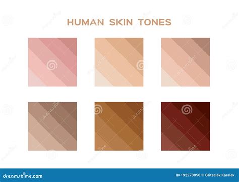 Skin Tone Color Scale Chart Brown Palette Vector Human Skin