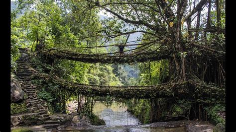 Hike To The Double Decker Living Roots Bridge In Nongriat Village
