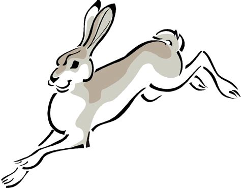 Jack Rabbit Clipart Free Download On Clipartmag