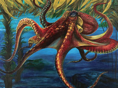 Giant Pacific Octopus Painting By Alyssa Davis Pixels