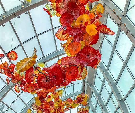 Revere In The Vivid Colors Of The Chihuly Glass Museum Vacation Geeks