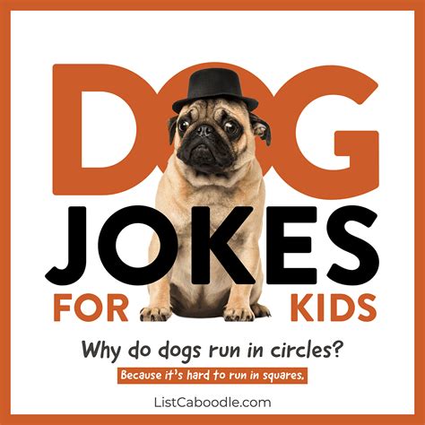 Funny Dog Jokes For Kids Theyre Doggone Hilarious