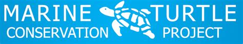 Green Living In Dubai Marine Turtle Conservation Project By Ews Wwf