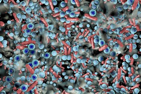 Biofilm Of Antibiotic Resistant Bacteria — Stock Photo © Katerynakon