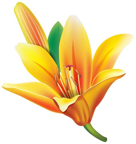 Yellow Lily Clipart 20 Free Cliparts Download Images On Clipground 2024