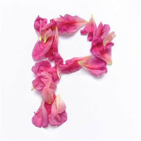 Alphabet Made Of Peony Petals Letter P Layout For Design Stock Photo