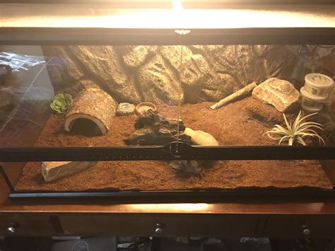 Leopard Gecko Habitat Gallon