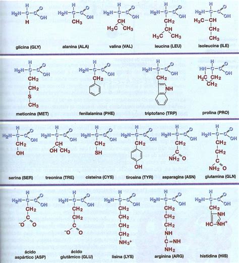 Formulas Quimicas E Seus Nomes