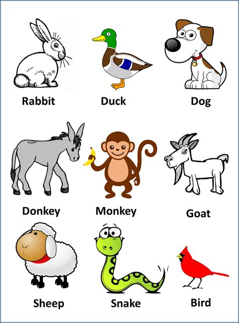 Tarjetas De Animales En Inglés Animals Flash Cards English For