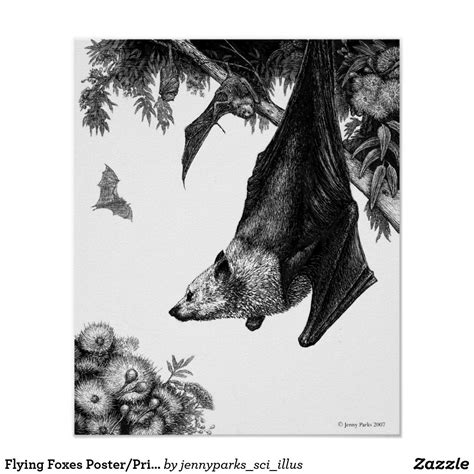Flying Foxes Posterprints Poster Bat Art Fox Poster