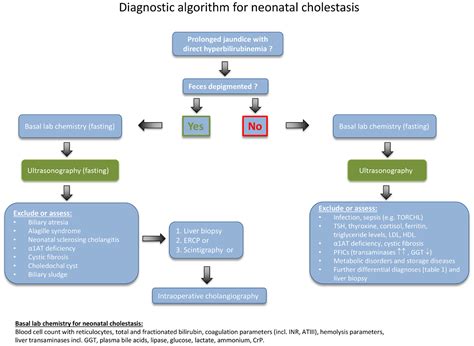 Frontiers Neonatal Cholestasis Differential Diagnoses Current