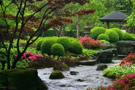 Das zusammenspiel aus gartendeko, pflanzen, wasser und steinen wird in einer asiatischen gartengestaltung perfektioniert. Übersicht: Japanische Gärten in Deutschland | JAPANDIGEST