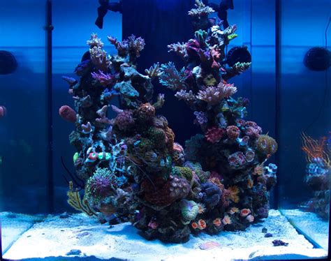 Medred 60g Nano Reef Saltwater Fish Tanks Coral Reef Aquarium