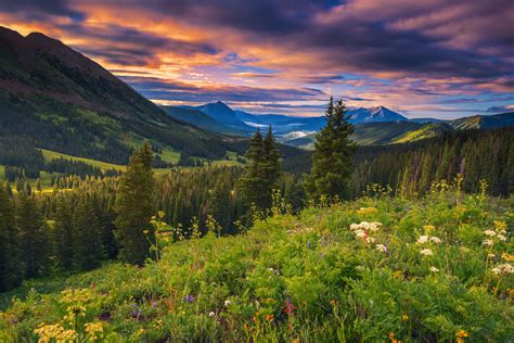 11 Best Hikes To See Wildflowers This Spring And Summer 303 Magazine