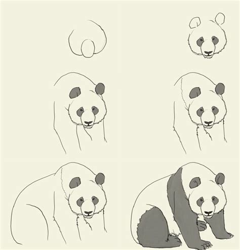 How To Draw A Panda I Love Pandas Pinterest Search Tutorials And