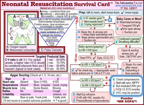 Survival Cards Quick Referencereview For Acls Pals Nicu Nr Cards