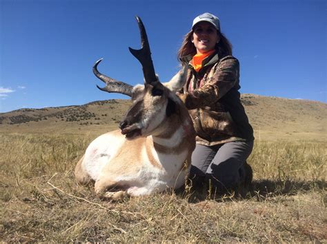 Wyoming Pronghorn Antelope Hunting Timberline Wyoming Big Game Hunting