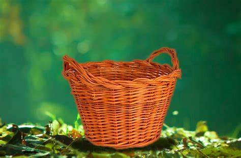 Según la clasificación regional dada por la unesco, esta excluye a méxico de américa del norte. El viejo canasto de carbón | reflexión cristiana sobre ...