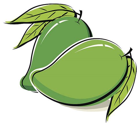 Green Mango Illustrations Royalty Free Vector Graphics And Clip Art Istock