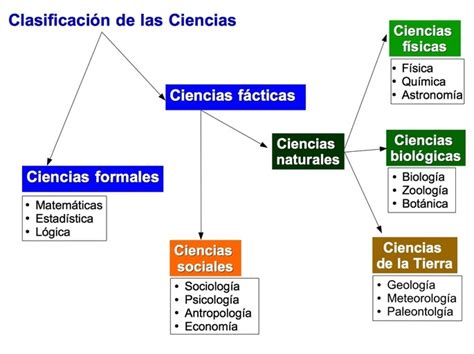 Clasificacion De La Ciencia Ramas Disciplinas Y Caracteristicas Images